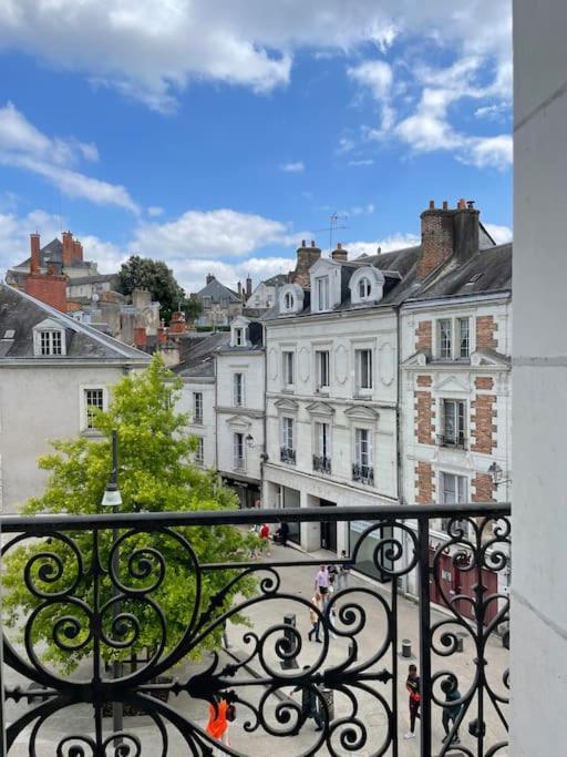 ~Rosa Bonheur~Hyper Centre Blois Exterior foto
